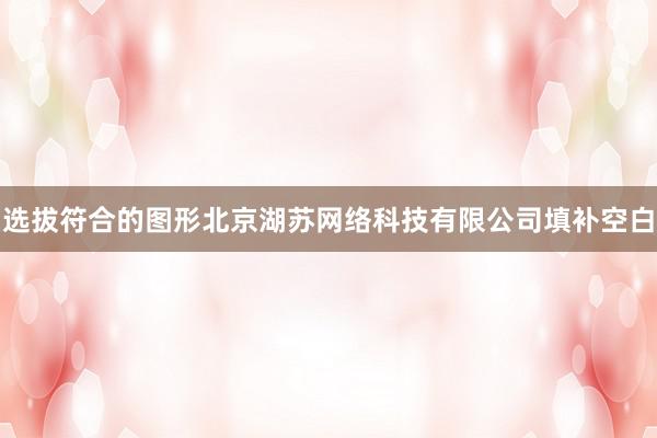 选拔符合的图形北京湖苏网络科技有限公司填补空白